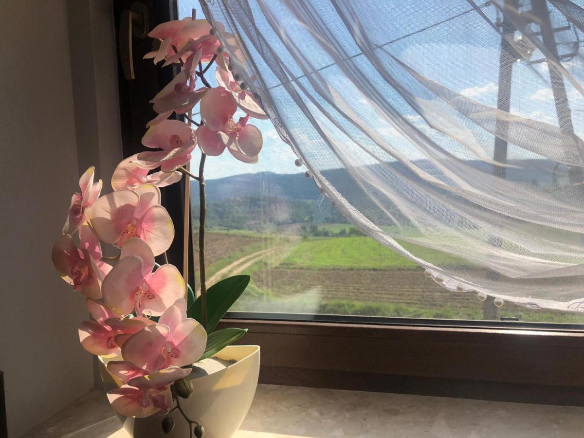 Apartamenty U Maksa Krzywcza Esterno foto