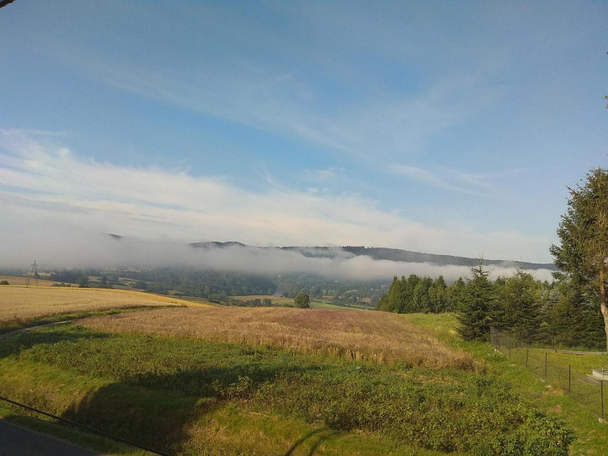Apartamenty U Maksa Krzywcza Esterno foto