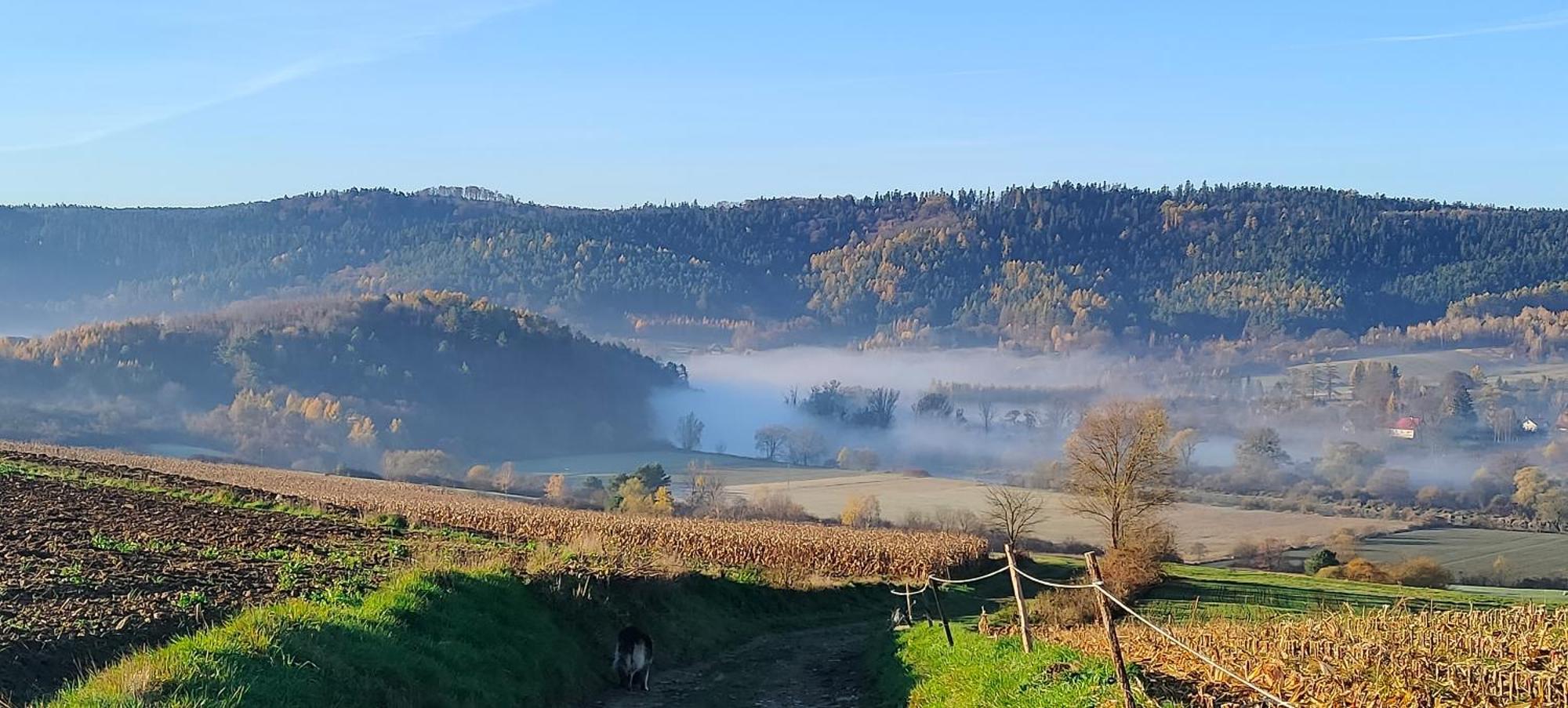 Apartamenty U Maksa Krzywcza Camera foto